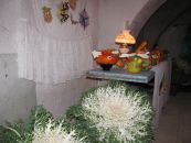 d013.JPG